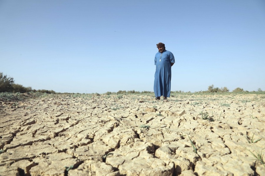 الحر وشح المياه يضربان الزراعة العراقية.. خسائر تتفاقم وتحذيرات من الأسوأ