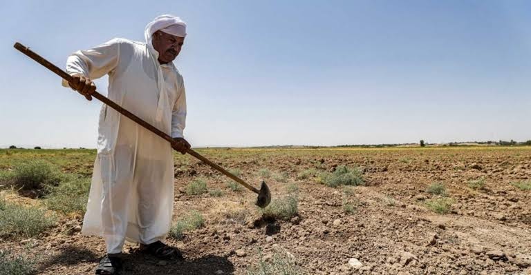 خمسة تحديات تهدد الزراعة في العراق.. التغير المناخي ليس الأخطر