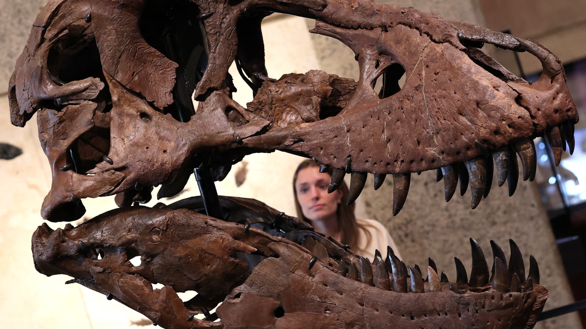 Boom in tech wealth is fueling record prices for dinosaur bones, art and watches, auction houses say