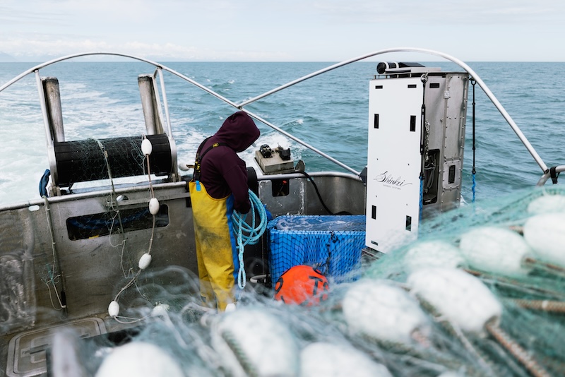 Shinkei Systems introduces premium grade Alaska sockeye salmon