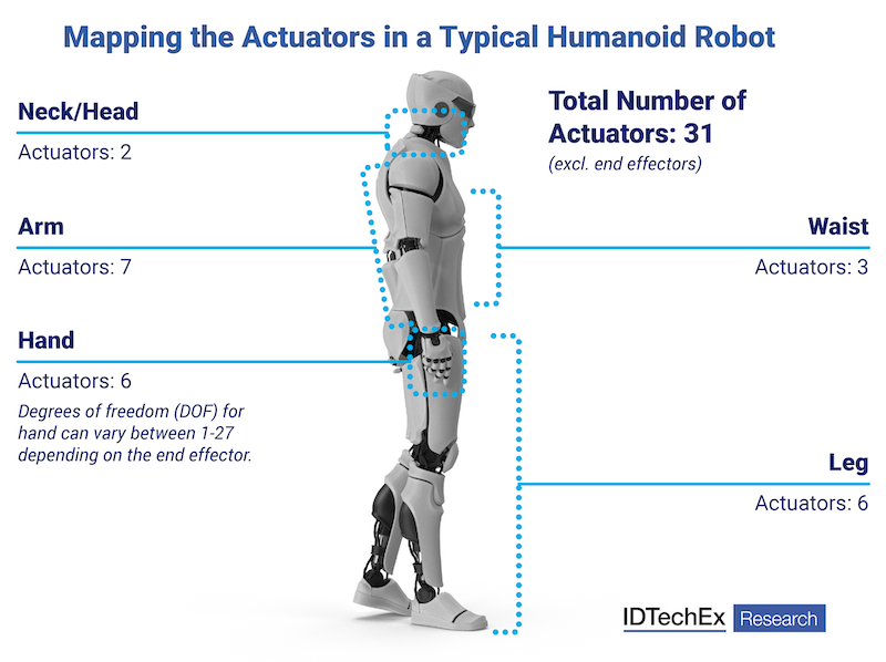 Trends and outlook for actuators: The muscles behind humanoid motion