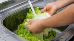 US reports first two deaths linked to 'explosive diarrhoea' outbreak