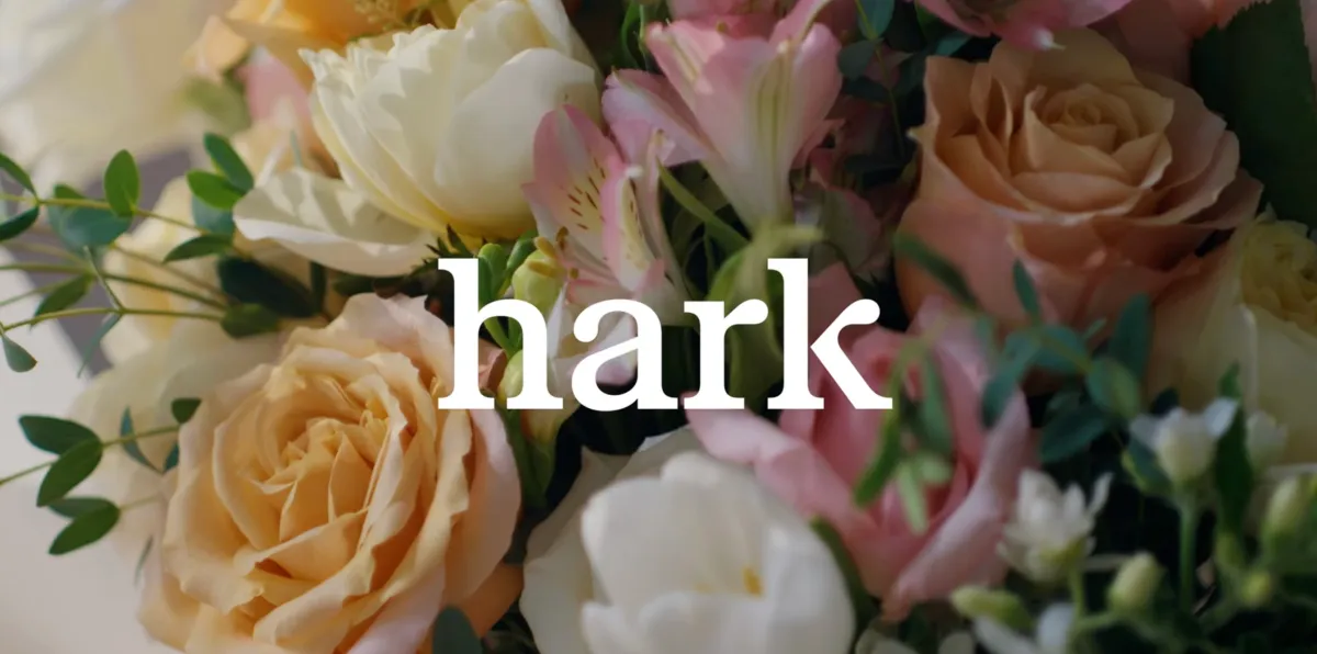 Hark previews its browser use agent for completing tasks