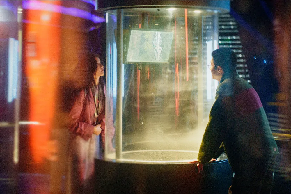 Venice: M-Appeal Picks Up Chinese Director Jie Dong’s ‘Zoom In, Zoom Out’ Ahead of Premiere (EXCLUSIVE)