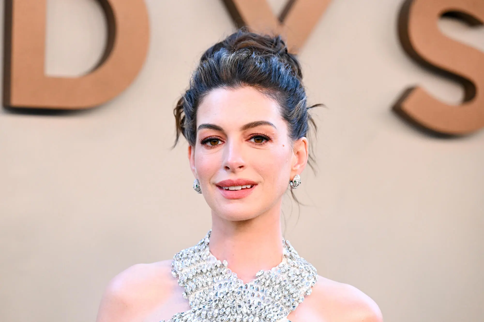 Anne Hathaway Says ‘Movies That Kill Dogs Should Automatically Be Rated R’