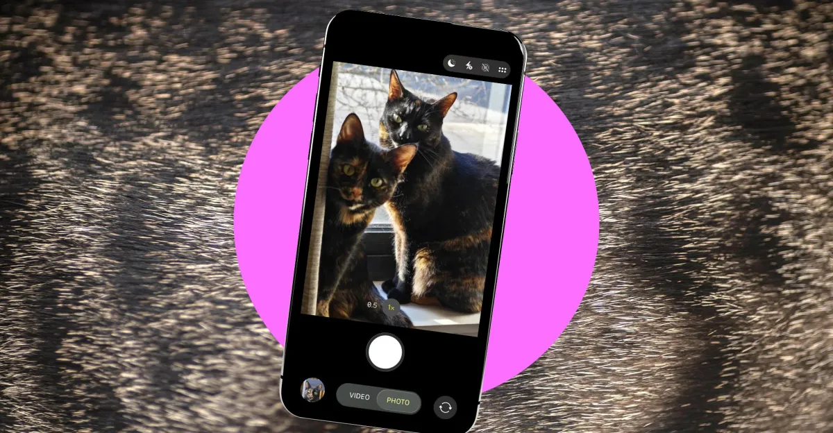 How to take better photos of your pets