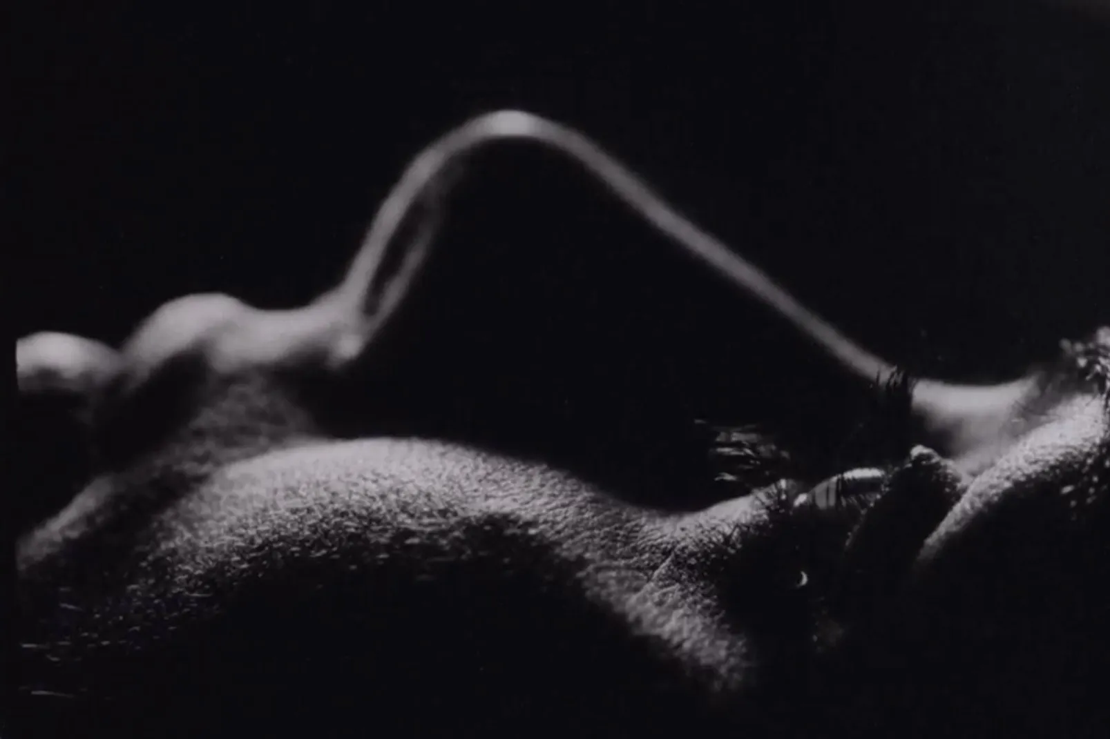 Motherhood Horror Film ‘Vagina Dentata,’ ‘From The Eclipse’ Director Nataša Urban, Boarded by Romanian Partner Manifest Film (EXCLUSIVE)