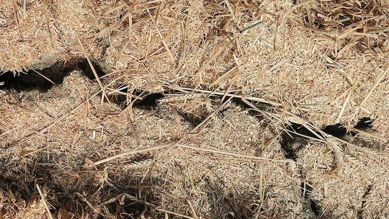 How biodynamic farming can help farms withstand drought