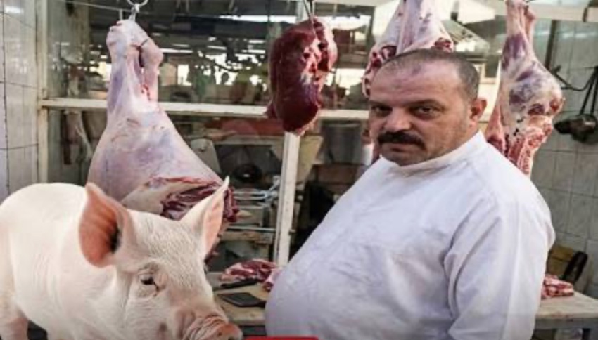 إحالة بائع لحوم الخنازير في النجف إلى محكمة الجنايات