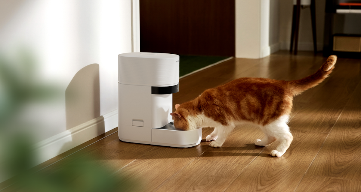 Petlibro’s new AI-powered feeder is a game changer for multi-cat homes