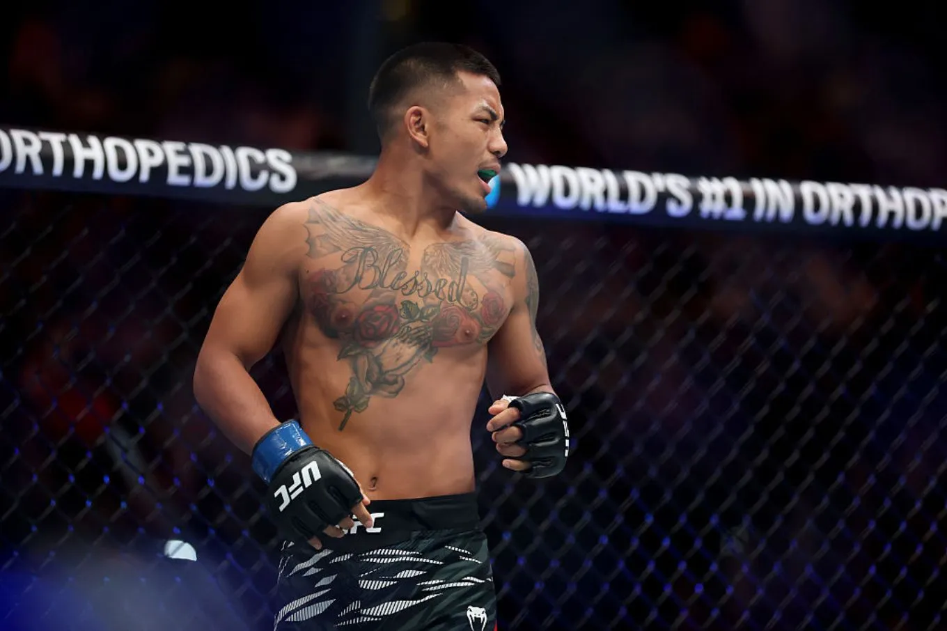 UFC 331 Livestream: Here’s How to Watch Joshua Van vs. Alexandre Pantoja 2 Online