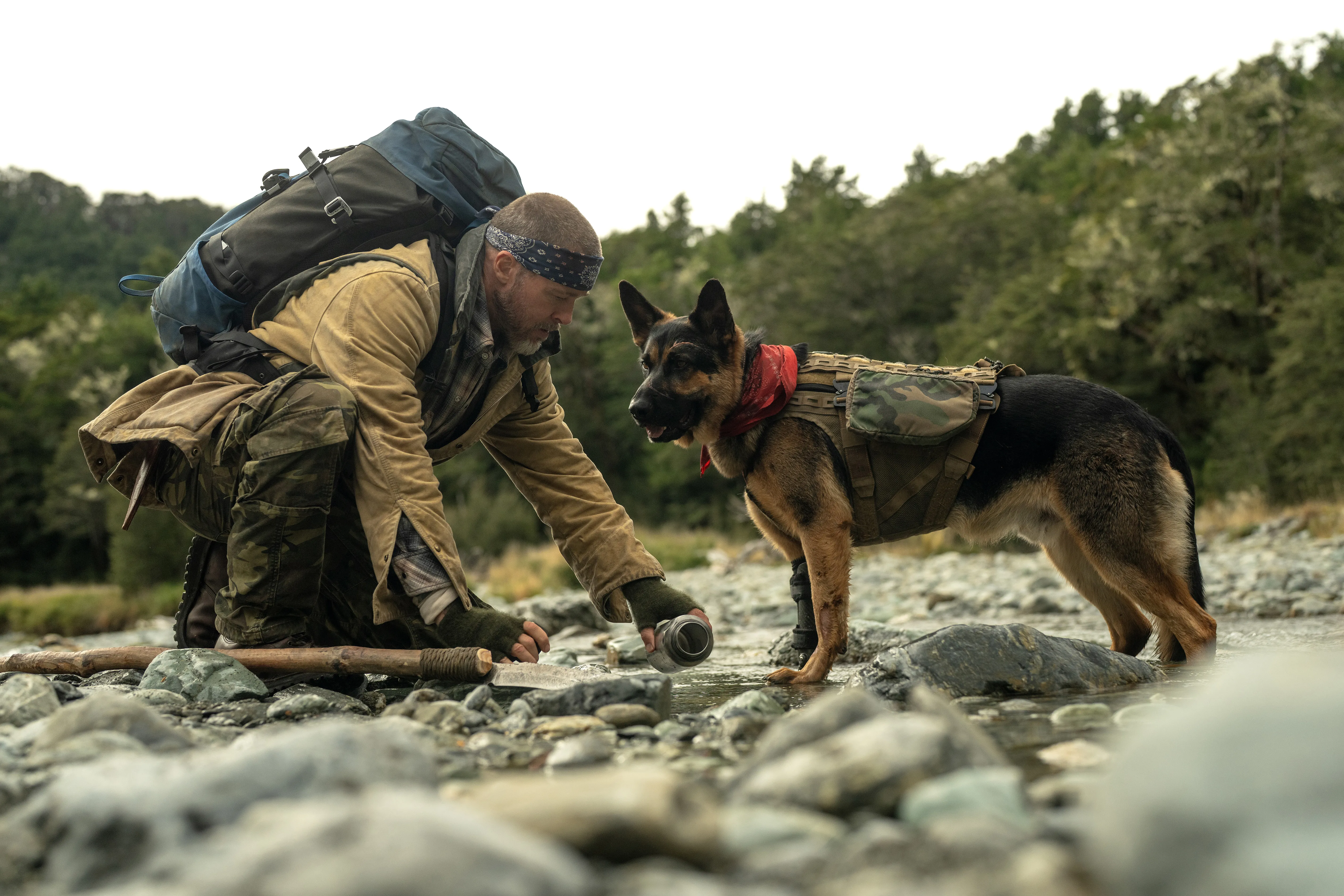 ‘Heart of the Beast’ Review: Brad Pitt Is a Veteran Stranded With His Combat Dog in David Ayer’s Stirringly Crafted Survival-in-the-Wild Saga