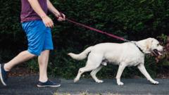 Ministers reject dog ownership licence scheme