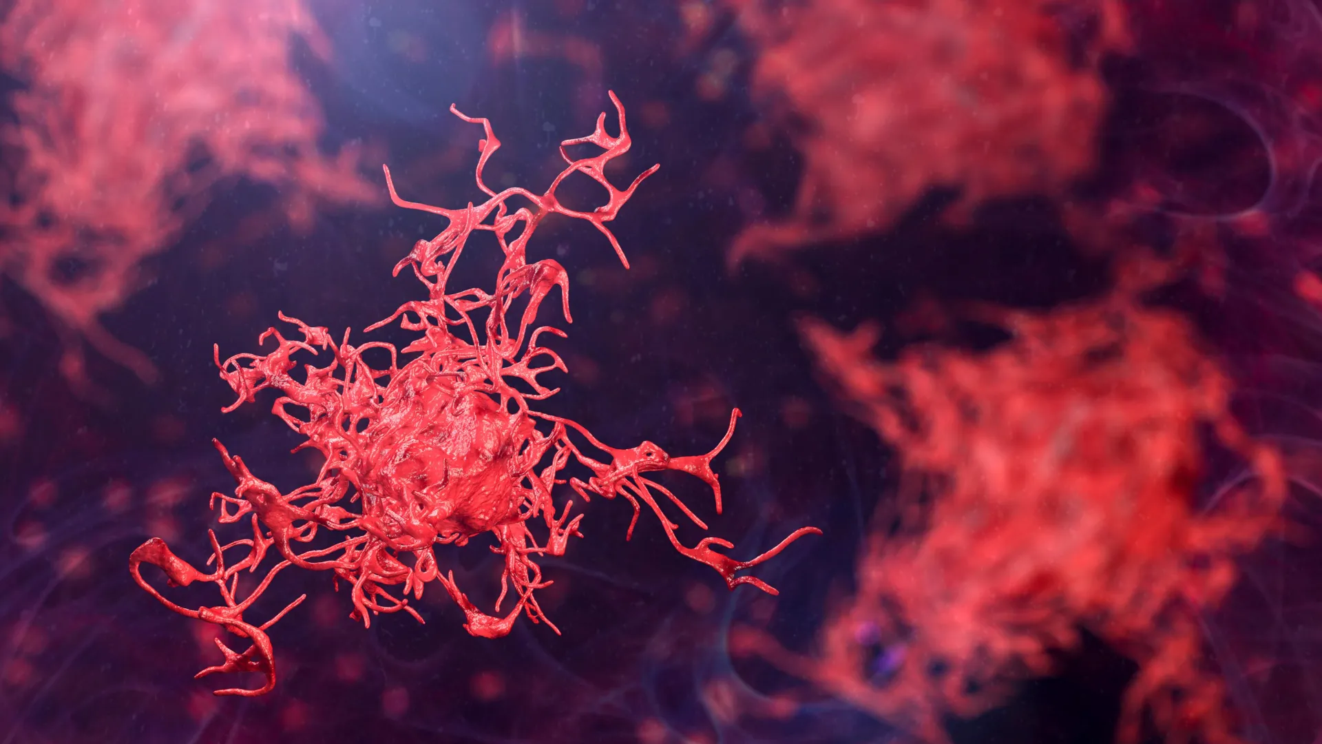 Scientists sound the alarm as dangerous amoebas spread globally